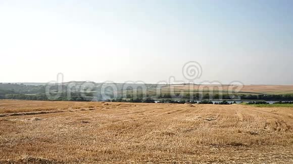 秋天小麦的坡地视频的预览图