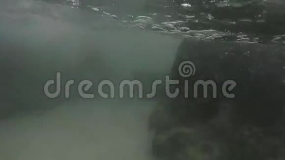 戈普罗在菲菲岛游泳视频的预览图