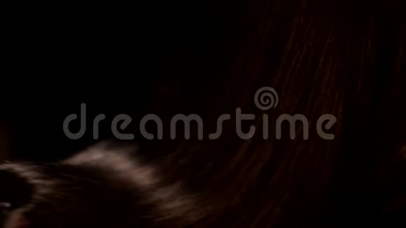 黑色背景特写镜头女性手旋转美丽的直巧克力深色闪亮的头发视频的预览图