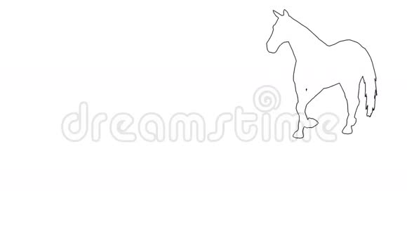 马在移动在白色屏幕上视频的预览图