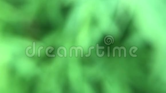 自然绿色模糊背景树叶模糊视频的预览图