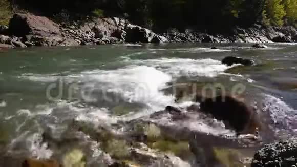 秋景伴山河视频的预览图