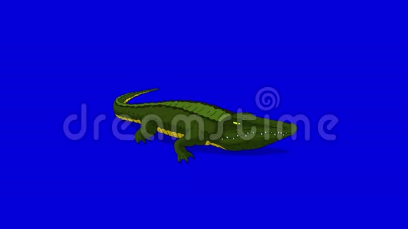 鳄鱼张开嘴蓝屏上的动画运动图形视频的预览图