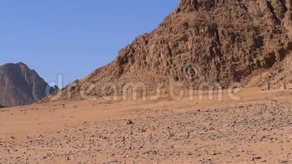 埃及的沙漠埃及山岩沙漠全景视频的预览图