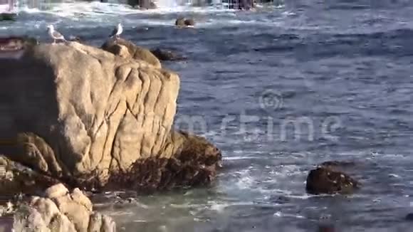 坚固的加利福尼亚海岸线视频的预览图