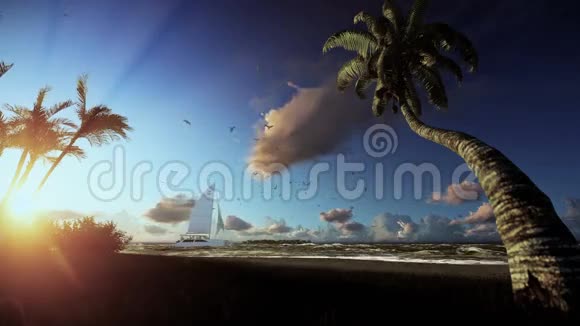 热带岛屿风中吹的棕榈树和日出时航行的游艇视频的预览图