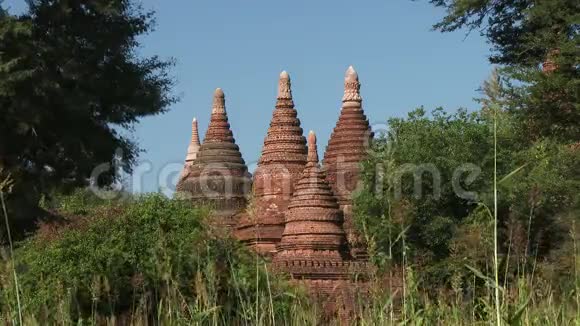 缅甸的巴根寺视频的预览图