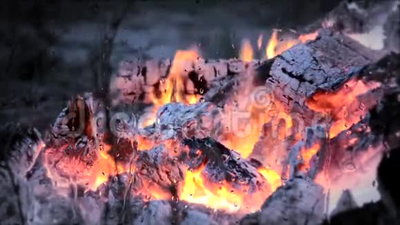 火在燃烧火在特写视频的预览图