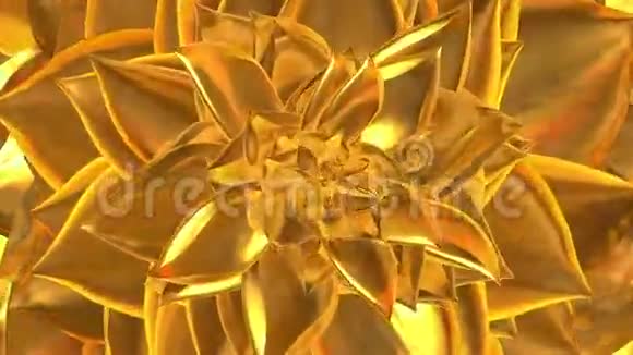 金色花朵开幕可循环使用视频的预览图