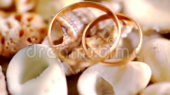 把金色结婚戒指戴在贝壳上宏观视频的预览图