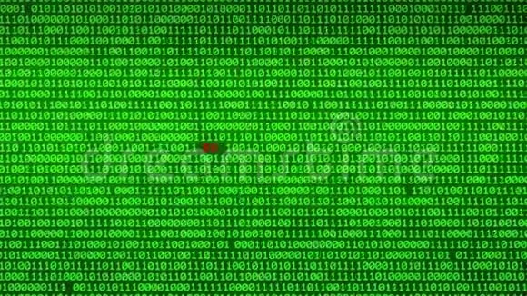 绿色二进制代码墙揭示软件PIRACY数据矩阵背景视频的预览图