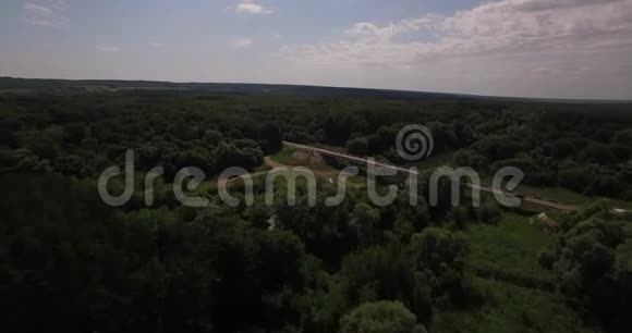 夏季茂密森林的空中景色视频的预览图