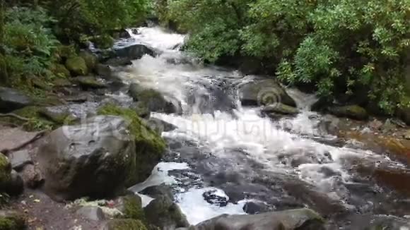 托克瀑布基拉尼国家公园爱尔兰视频的预览图