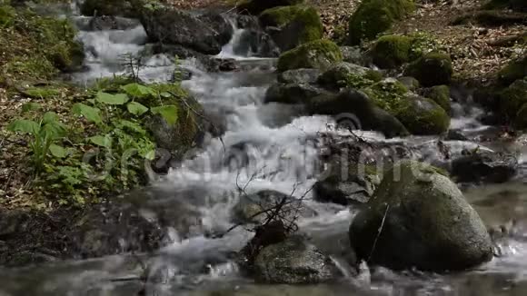 宁静的森林小河流瀑布落在岩石上视频的预览图