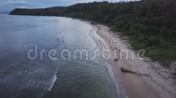 海滩和树木被射杀视频的预览图