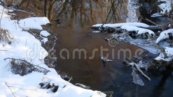 森林里的小溪流草大自然美丽的冬天风景干燥的树枝视频的预览图