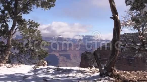 大峡谷冬季景观放大视频的预览图