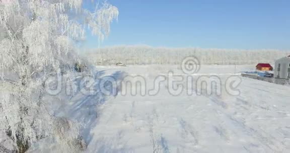 4空中冬天森林里的早晨冰封的桦树冬野霜冻蓝天视频的预览图