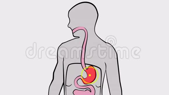 一种治疗胃病的药丸动画视频的预览图