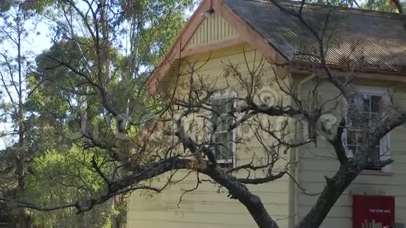 一张房子和树的照片视频的预览图