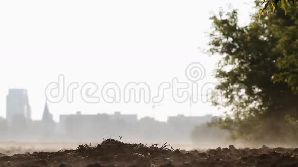 一片田野清晨的水汽笼罩大地视频的预览图