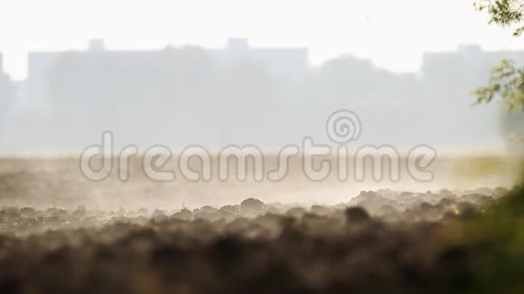 一片田野清晨的水汽笼罩大地视频的预览图