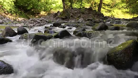 阿塞拜疆LankaranHirkan国家公园的河流视频的预览图