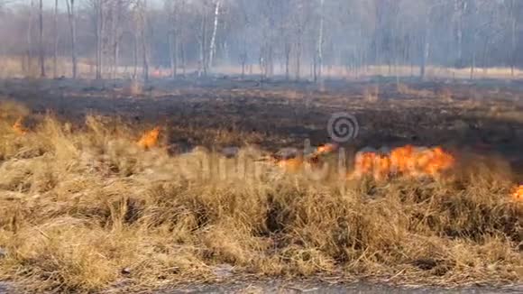 一股强烈的火焰在狂风中穿过干草蔓延开来视频的预览图