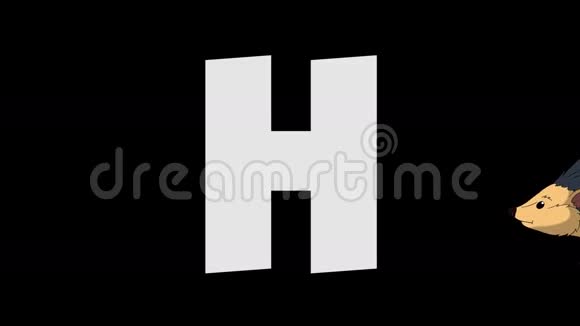 信H和刺猬背景视频的预览图