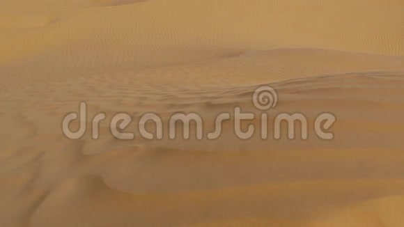 撒哈拉景观沙丘和风视频的预览图