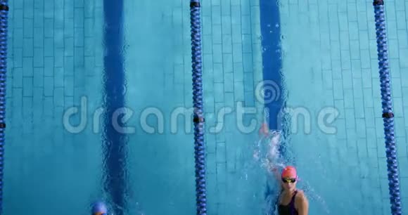 游泳运动员在游泳池里训练视频的预览图