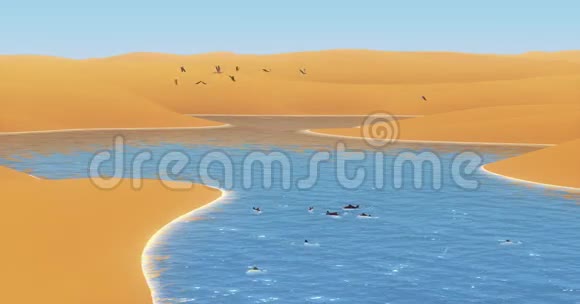 鱼在阳光河里游泳鸟儿飞过沙漠沙丘视频的预览图