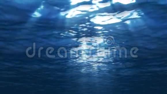 水下海洋4K格式视频的预览图
