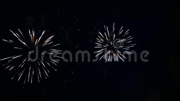 夜空中灿烂的节日烟火视频的预览图