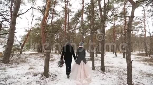户外冬林拍摄的年轻新婚夫妇在雪天松林散步和玩得开心牵手视频的预览图