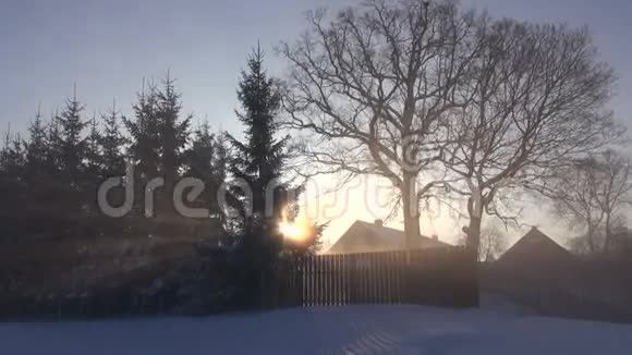 村庄里的冬天早晨日出视频的预览图