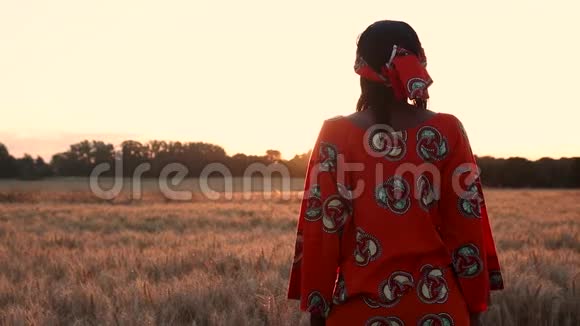 非洲的女农民穿着传统服装站在非洲的一片庄稼地小麦或大麦日落或日出时视频的预览图