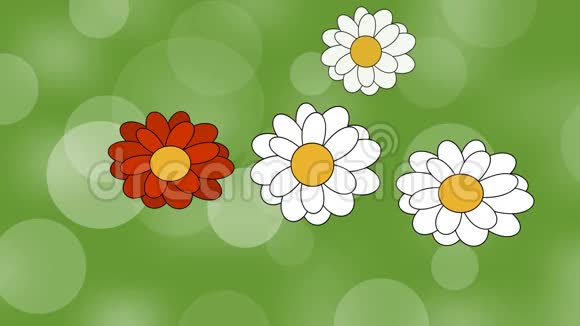绿色草地上的动画花朵绿色模糊的背景白色和红色的花有春天或视频的预览图