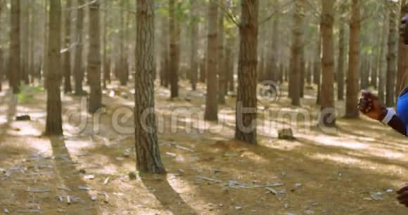 女人在森林里慢跑4K视频的预览图