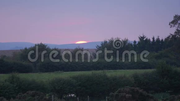 威尔士风景中日落时的绵羊视频的预览图