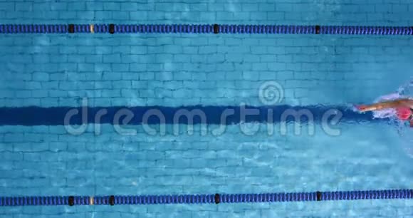 游泳池游泳训练视频的预览图