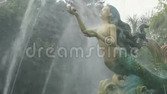 公园里的喷泉视频的预览图