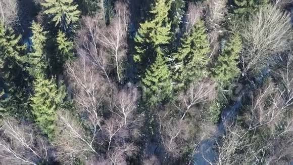 冬季混合森林的空中景象视频的预览图