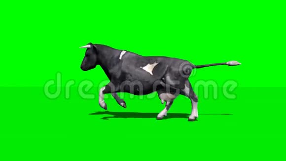 奶牛奔跑绿色屏幕视频的预览图