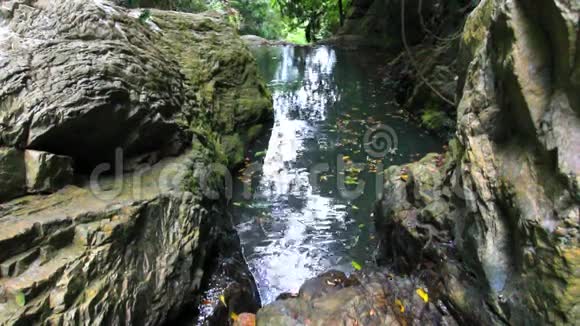 苏梅岛丛林深处的瀑布高清视频的预览图