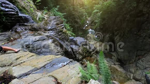 苏梅岛森林深处的瀑布高清视频的预览图