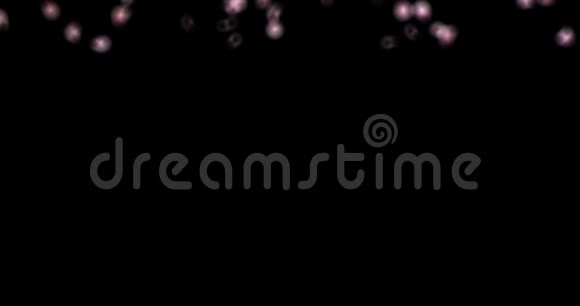 飞粉玫瑰樱花花花瓣飘落过渡阿尔法冰铜回路4k视频的预览图
