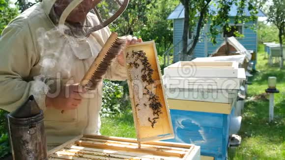 养蜂人养蜂人正在养蜂场和蜜蜂一起工作视频的预览图