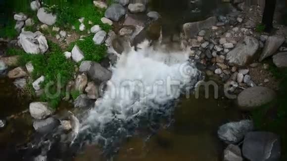 山溪溪流来自森林和灌木视频的预览图