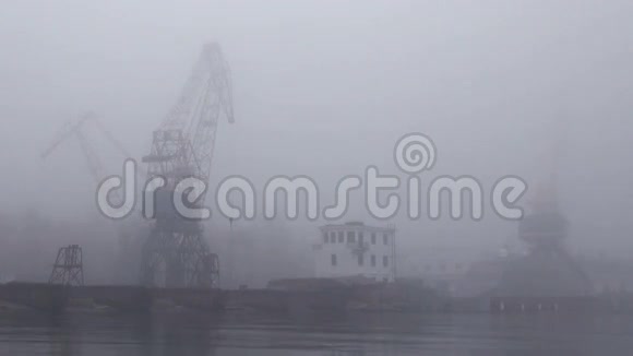 雾中的河流港口的鹤视频的预览图